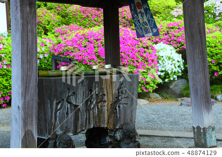 Collaboration with azalea and hand water Collaboration with azalea and hand water 48874129