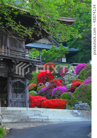 Near the gate of Kawasaki's azalea temple "Togakuin" 48874134