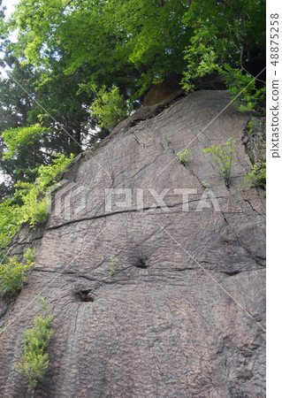 Footprints of dinosaurs 48875258