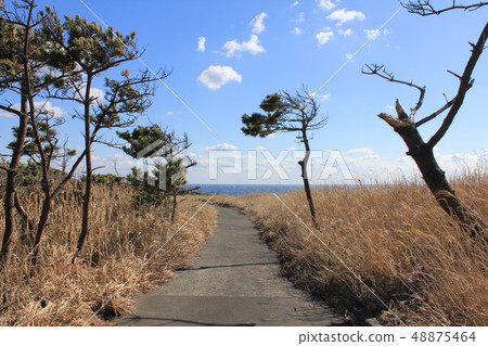 死路 死路 48875464