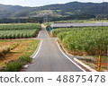 鄉村小路 48875478