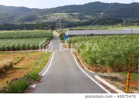 鄉村小路 鄉村小路 48875478
