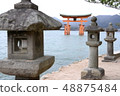 Izumo Taisha Torii和燈籠 48875484