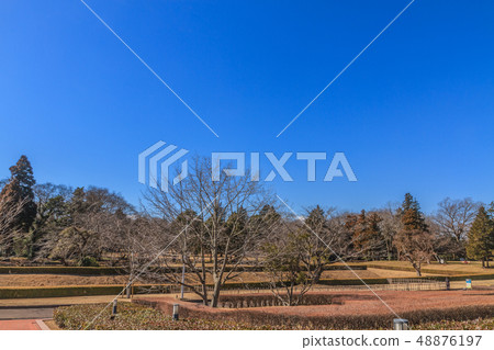 佐倉城堡馬背馬風景在冬天破壞 48876197