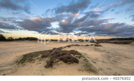 Sunset over sand dunes Hoge Veluwe Sunset over sand dunes Hoge Veluwe 48876802