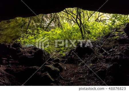 Entrance of limestone cave 48876823