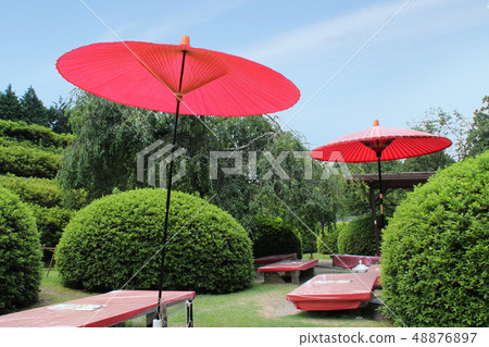 Umbrella Umbrella 48876897