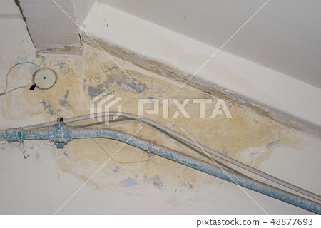 Big wet spots and black mold on the wall of the 48877693