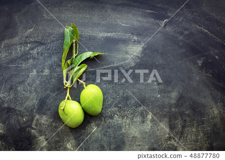 Whole small wild green mangoes on dark background Whole small wild green mangoes on dark background 48877780