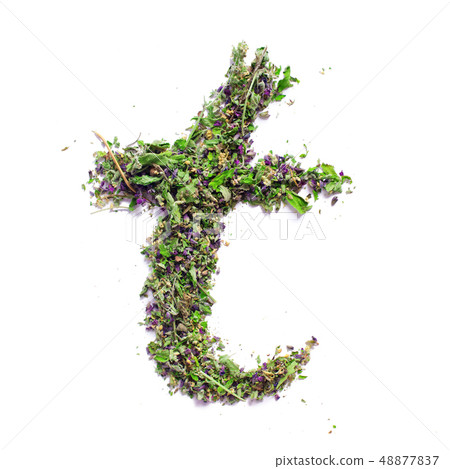 Letter T english alphabet Herbal tea from dried up Letter T english alphabet Herbal tea from dried up 48877837