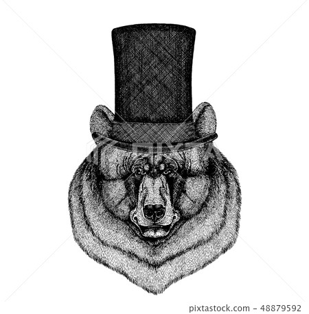 Wild animal wearing top hat, cylinder. Hipster bear 48879592