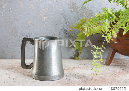 Vintage pewter beer mug and green plant Vintage pewter beer mug and green plant 48879635