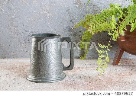 Vintage pewter beer mug and green plant Vintage pewter beer mug and green plant 48879637