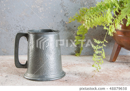 Vintage pewter beer mug and green plant Vintage pewter beer mug and green plant 48879638