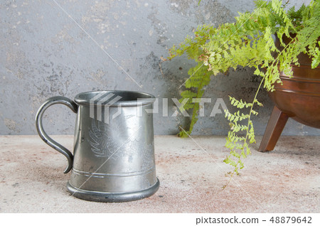 Vintage pewter beer mug and green plant 48879642