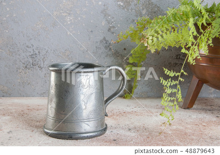 Vintage pewter beer mug and green plant 48879643