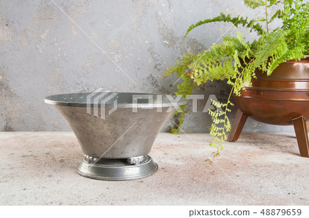Vintage pewter flower pot and green plant 48879659
