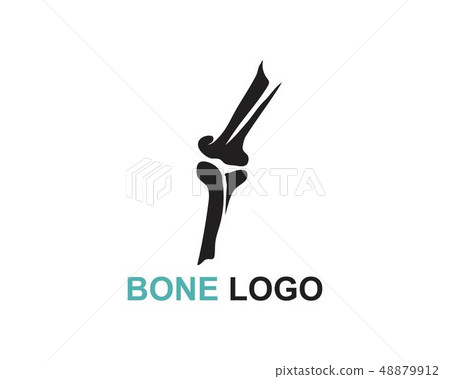Bone logo vector template vector Bone logo vector template vector 48879912