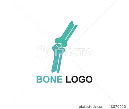 Bone logo vector template vector Bone logo vector template vector 48879920