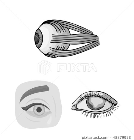 Vector illustration of medical and eyeball sign. Collection of medical and optical stock symbol for 48879958