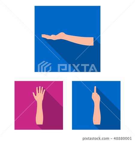 Isolated object of animated and thumb symbol. Set of animated and gesture stock symbol for web. 48880001