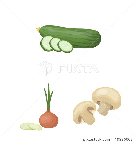 Vector design of vegetable and fruit icon. Collection of vegetable and food stock vector 48880005