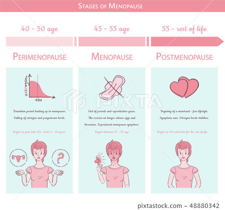 Menopause stages. Medical graphic concept Menopause stages. Medical graphic concept 48880342