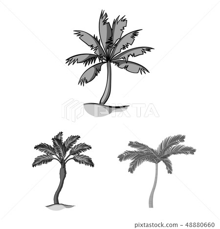 Vector design of tree and summer logo. Set of tree and green  stock vector illustration. 48880660