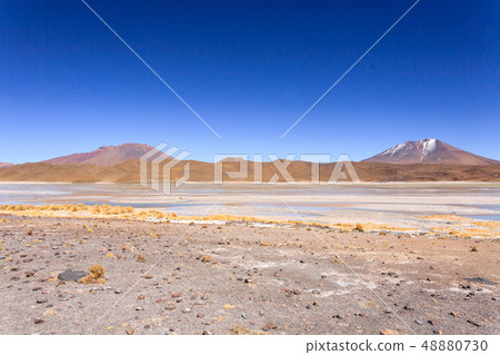 Laguna Hedionda view, Bolivia 48880730
