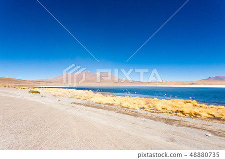 Laguna Canapa view, Bolivia 48880735