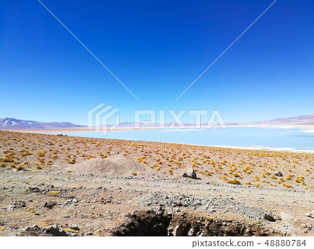 Bolivian lagoon view,Bolivia. Green water lake 48880784