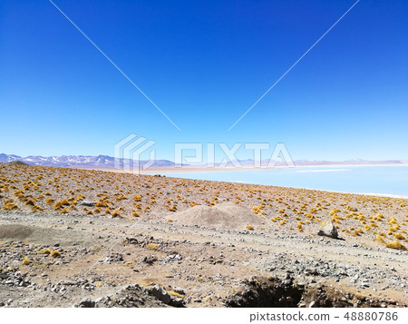 Bolivian lagoon view,Bolivia. Green water lake 48880786
