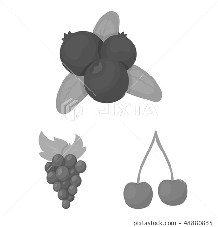 Vector design of berry and fruit logo. Collection of berry and redberry  stock symbol for web. 48880835