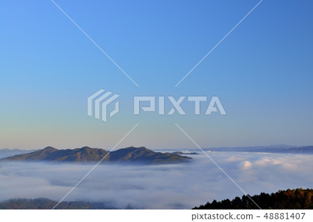 Sea of clouds in the Kameoka basin 48881407