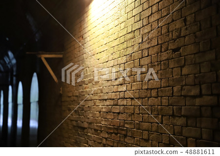 [Tourist attraction in Yokosuka] Tunnel of love on uninhabited island, Sarushima 48881611