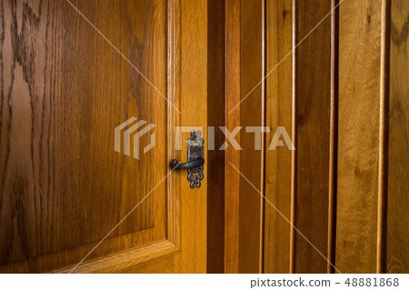 Wooden door antique style, vintage design background texture 48881868