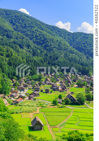 Gifu _ Shirakawago in Midsummer _ Sunny Gifu _ Shirakawago in Midsummer _ Sunny 48882522