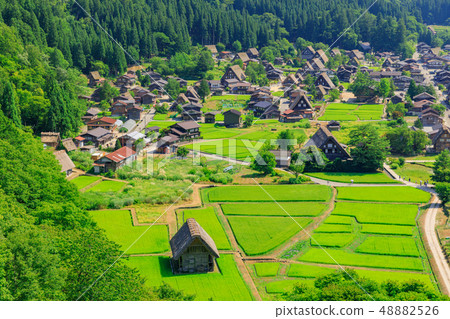 岐阜_白川鄉在仲夏_陽光明媚 48882526