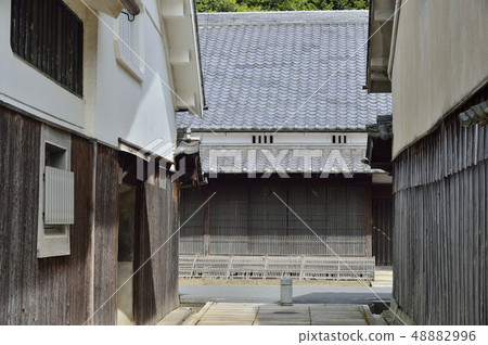 台場的街道 48882996