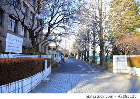 白梅學園大學小平市 白梅學園大學小平市 48883123