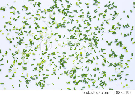 Green onions isolated on white Green onions isolated on white 48883195