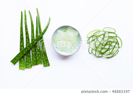 Aloe vera is a popular medicinal plant for health 48883197