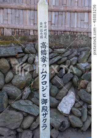 Castle town Kojima Mukuroji Gunma Prefecture Tamaracho Castle town Kojima Mukuroji Gunma Prefecture Tamaracho 48883256