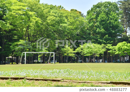 Ibaraki-ken Tsukuba-shi Inogamine Park Ibaraki-ken Tsukuba-shi Inogamine Park 48883277