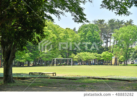 Ibaraki-ken Tsukuba-shi Inogamine Park Ibaraki-ken Tsukuba-shi Inogamine Park 48883282