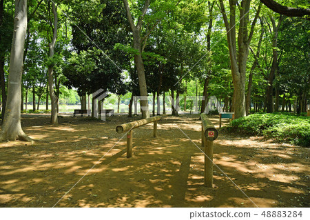 Ibaraki-ken Tsukuba-shi Inogamine Park Ibaraki-ken Tsukuba-shi Inogamine Park 48883284