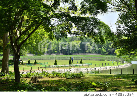 Ibaraki-ken Tsukuba-shi Inogamine Park 48883384