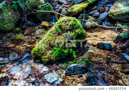 Saitama Oshio Kuroyama Three Waterfalls (near the waterfall top of Tengu Waterfall) 48883554