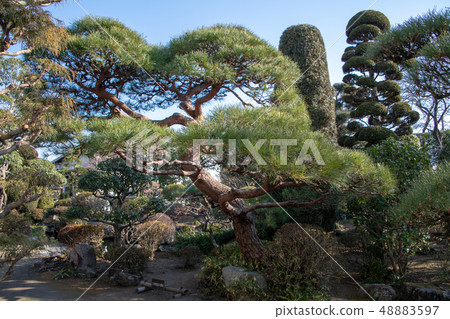 Castle Town Komari Samurai Residence Garden群馬縣Tamaracho 48883597