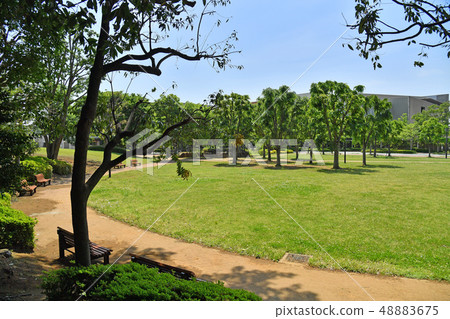 Ibaraki Prefecture Tsukuba City Takezono Takezono Park Ibaraki Prefecture Tsukuba City Takezono Takezono Park 48883675
